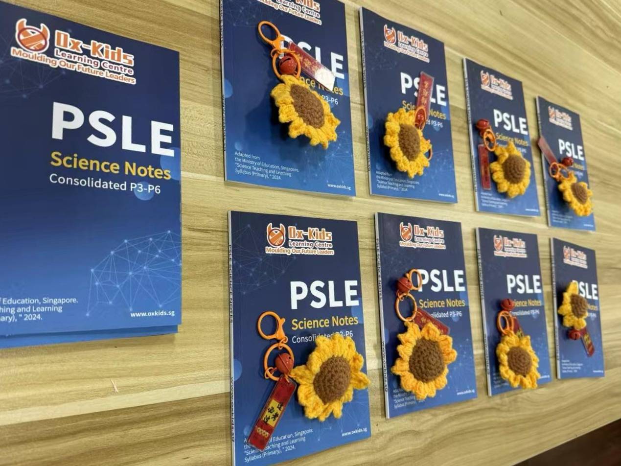Photo of Oxkids PSLE Science consolidated notes